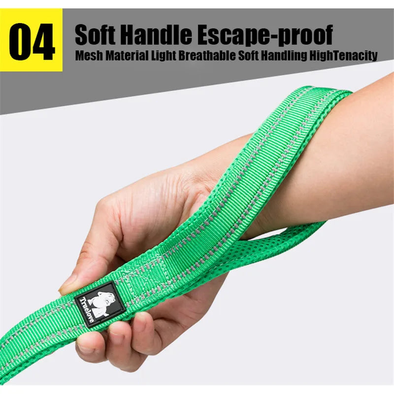 Truelove Reflective Padded Dog Leash — 200 cm