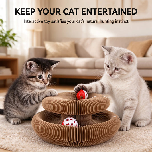 2-in-1 Cat Scratcher Toy with Interactive Bell Ball, Foldable Corrugated Cardboard Scratch Pad for Indoor Cats, Durable Oval Cat Scratching Board with Rotating Track, Protects Furniture