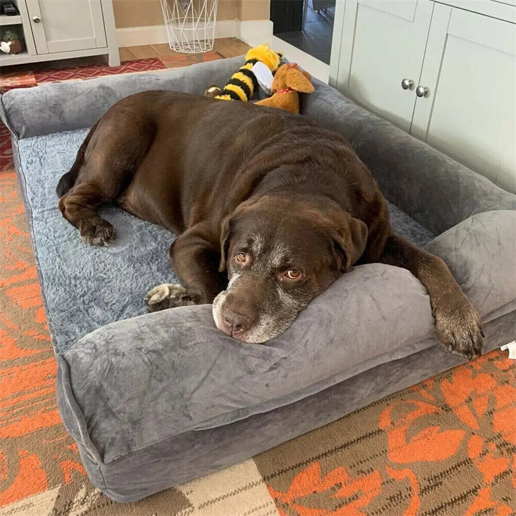 BINGOPAW XXL Dog Sofa Bed — Removable Washable Cover