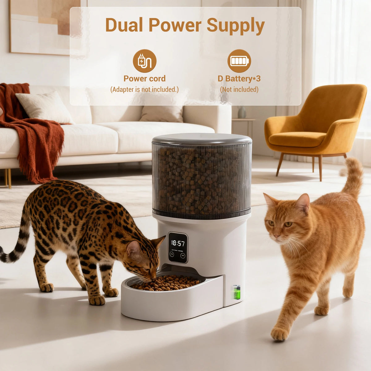 Programmable 4L Automatic Pet Feeder for Small Dogs Cats, Up to 6 Meals Daily, Timer/Portion Control, Pet Feeding Food Dispenser
